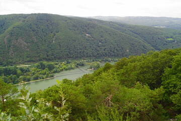 Der Rhein oberhalb von Assmannshausen im Mittelrheintal im Rheingau in Hessen