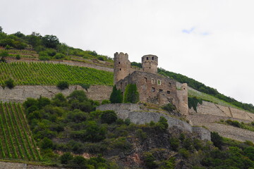 Die Burg Ehrenfels zwischen Rüdesheim und Assmannshausen im Rheingau am Rheinsteig mit Blick vom Fluss Rhein aus
