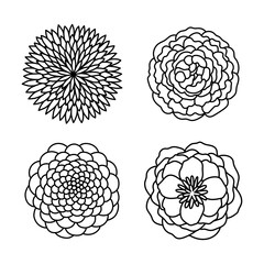 Vector line handdrawn illustration set with stylized decorative Peony flowers. Isolated on white background