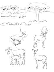 Sketch of the African savanna. Vector set of antelopes