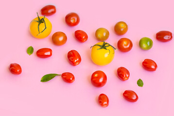 Organic Red Cherry Tomatoes on a Pink  Background 