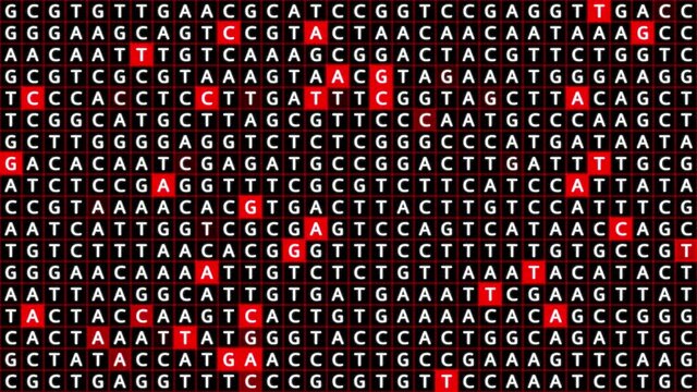 Loopable: Genetic mapping DNA sequence analysis abstract background with letters A,G,C,T in grid with red squares. Big genomic data analysis concept.