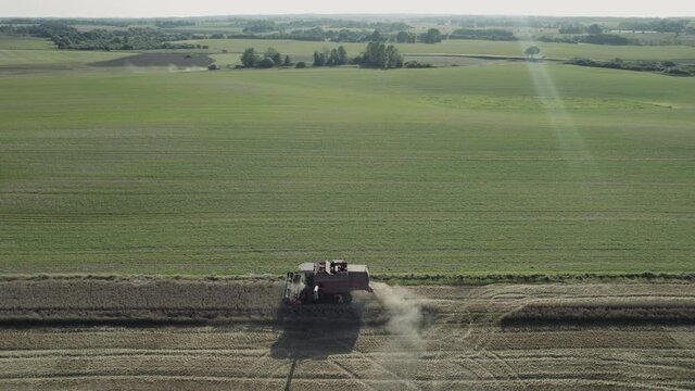 Aerial high parallel shot of Harvester harvests in the field, agriculture