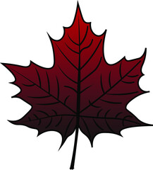 Maple Leaf vector colour autumn