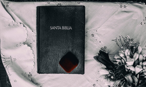 Book with title "Santa Bible"