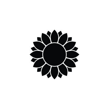 sunflower icon vector flower sign
