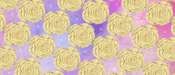 background pattern template white roses flowers and delicate circles minimalistic design abstract watercolor background banner colorful watercolor texture natural and gentle illustration.