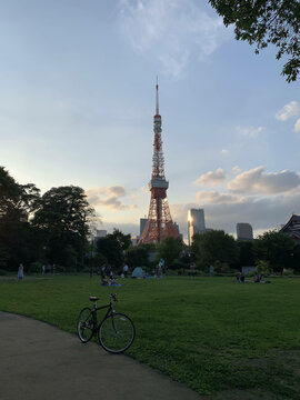 People at the park in Minato city, Tokyo, Japan