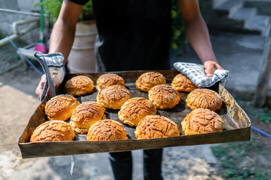 Person holding baked cookies