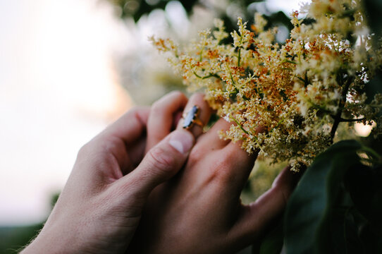 Two joined hands out of focus showing engagement ring next to yellow flowers