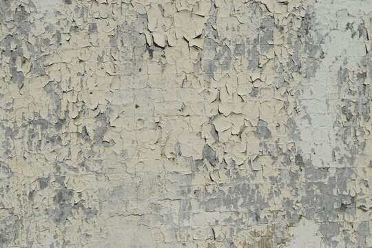 Grunge wall texture. High resolution shabby background.