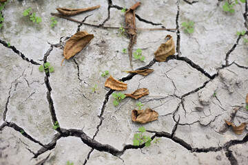 Natural texture of dry earth with abstract cracks, concept of lack of water, global problem.