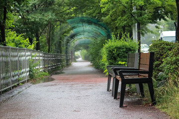 well maintained green pathway