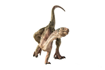 Chilesaurus Dinosaur on white background