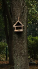 Fototapeta na wymiar beautiful birdhouse