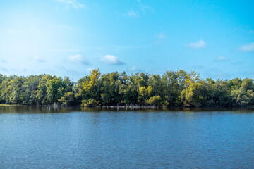 Trees dividing water and sky