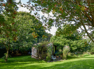 Early September and sunshine highlights sweet peas and a vine on a garden summer house
