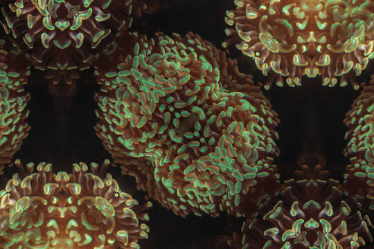 texture grunge green