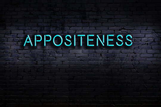 Neon sign. Word appositeness against brick wall. Night view