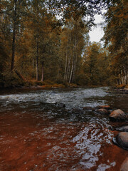 A walk on warm sunny days