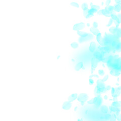 Turquoise flower petals falling down. Favorable ro