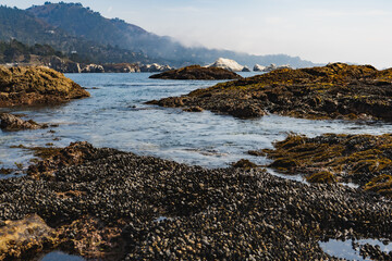 Point Lobos, California, Beautiful Summer hike