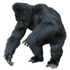 Obraz premium Black silver gorilla 3d illustration isolated on white