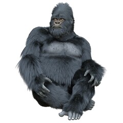 Black silver gorilla 3d illustration isolated on white © elenaed