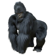 Black silver gorilla 3d illustration isolated on white © elenaed