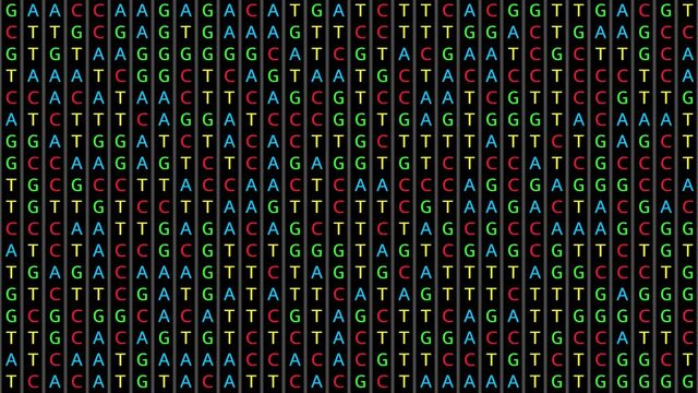 Loopable: DNA genetic matching and analysis abstract background with color-coded DNA components A, T, G, C. Genomic data processing concept. - Powered by Adobe