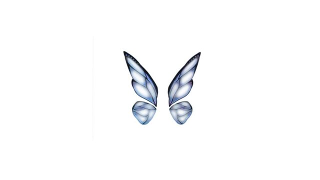 Colorful Butterfly Wings On White Background 4k Animation Stock Footage. 3D Butterfly Stock Videos.