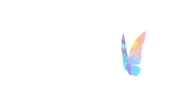 Colorful Butterfly Wings On White Background 4k Animation Stock Footage. 3D Butterfly Stock Videos.
