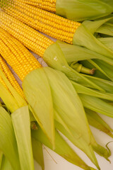 fresh sweet organic corn cobs close-up background