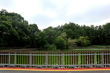 bridge over the river