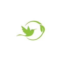 logo bird icon template vector design wings