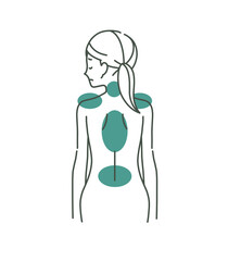 女性の背中と身体の痛み-2色