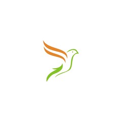 logo bird icon template vector design wings