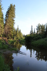 Fototapeta na wymiar Evening Shadows On Creek, Whitemud Park, Edmonton, Alberta