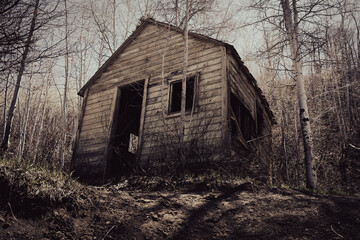 Fototapeta na wymiar Old abandoned cabin in the mountains
