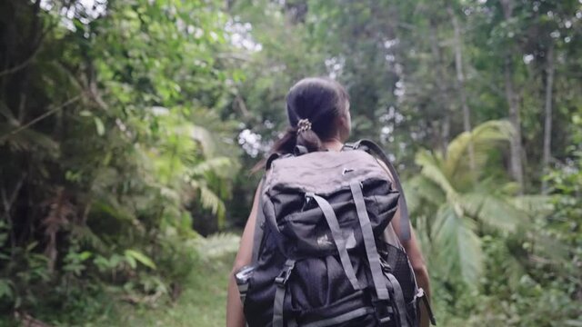 Young asia woman with backpack is hiking travelling alone in forest during the rainy season