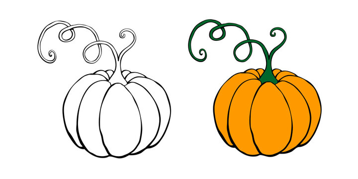 Set of Pumpkin icon isolated on white background. Outline doodle and color. Symbol autumn, crop, fruitful year. Hand drawn vector EPS10 illustration