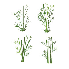 Obraz premium Bamboo tree leaf vector illustration