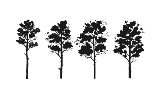 forest trees silhouettes vector collection