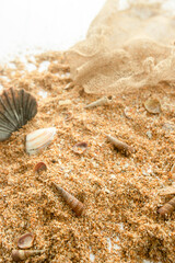 Sand and seashells on white wooden background