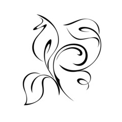 decorative abstract element with leaves and curls in black lines on a white background