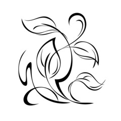 decorative abstract element with leaves and curls in black lines on a white background