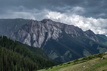 Fototapeta premium Beautiful rocky mountains with green forest on foothills with rainy clouds. Beautiful summer landscape. Komirshi gorge in Kazakhstan. Travel tourism concept.