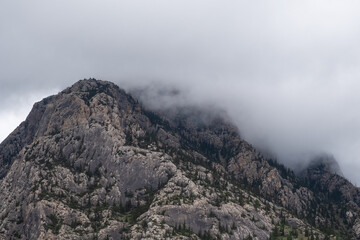 Rocky mountains with green spruce forest and misty clouds.. Nature landscape background. Komirshi gorge in Kazakhstan.