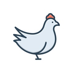 Color illustration icon for chicken