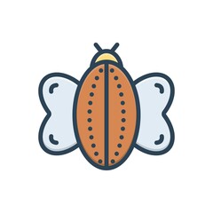 Color illustration icon for insect